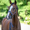 Tommy Hilfiger Yale Headcollar & Leadrope Set - Pine