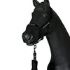 Vestrum Locri Headcollar & Leadrope Set - Black