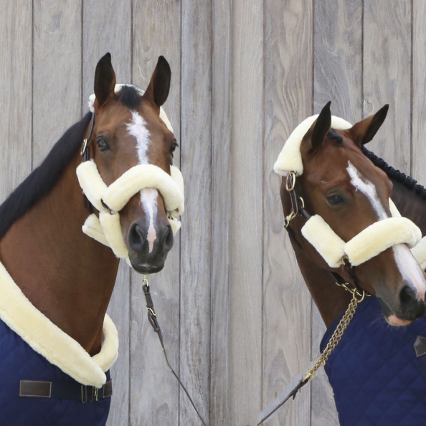 Kentucky Sheepskin Headcollar Covers
