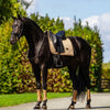 Equestrian Stockholm Dressage Pad - Midsummer Glow