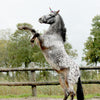 QHP Rainbow Unicorn Horn