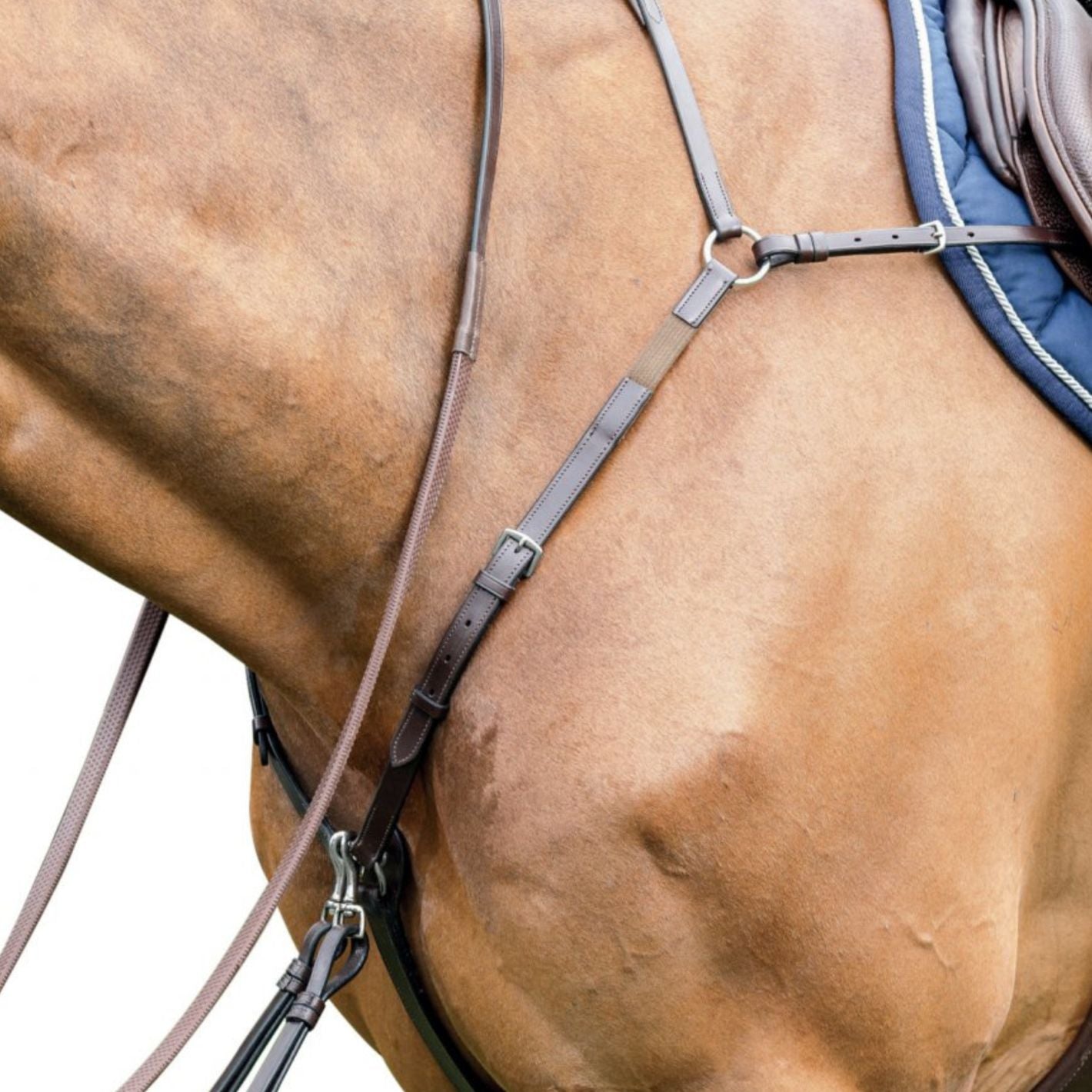 Prestige Breastplate with Elastic