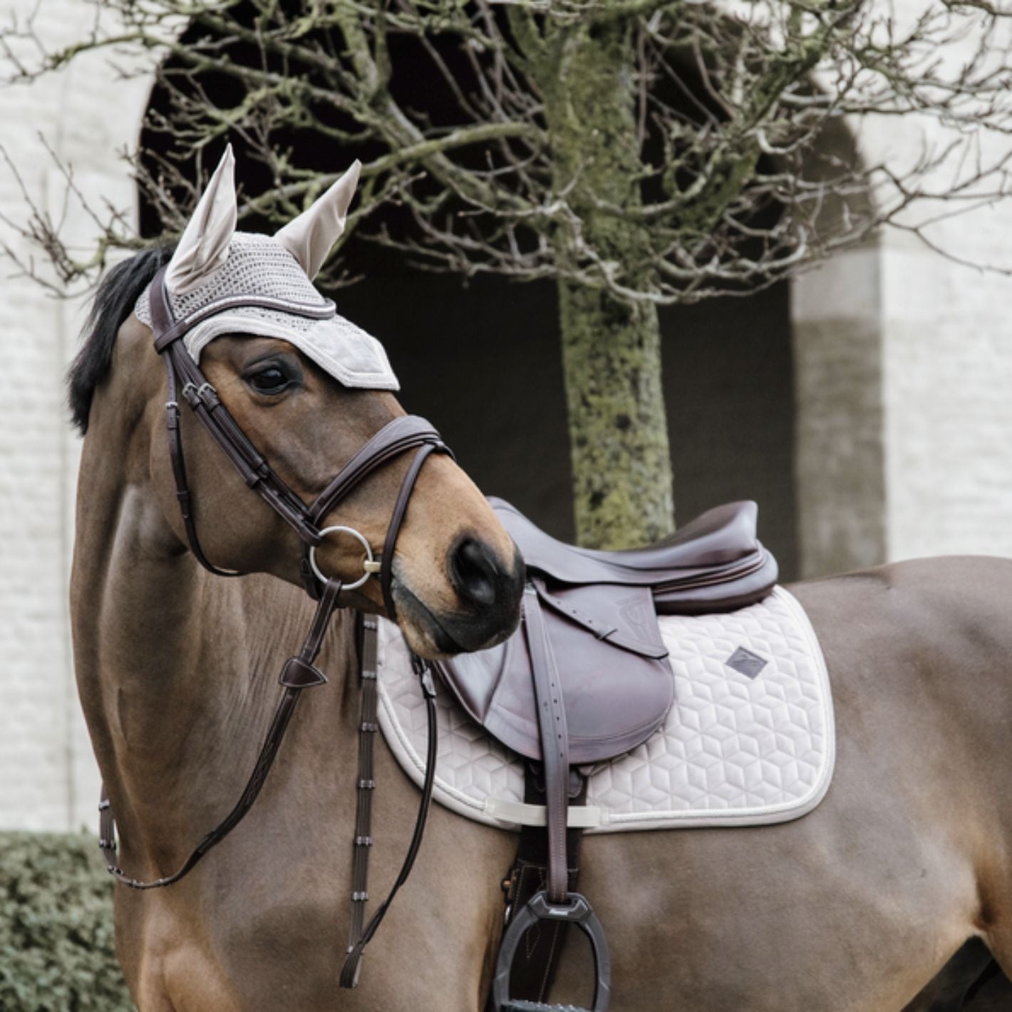 Kentucky Velvet Dressage Pad - Beige