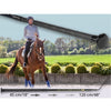 Fleck Telescopic Pocket Dressage Whip