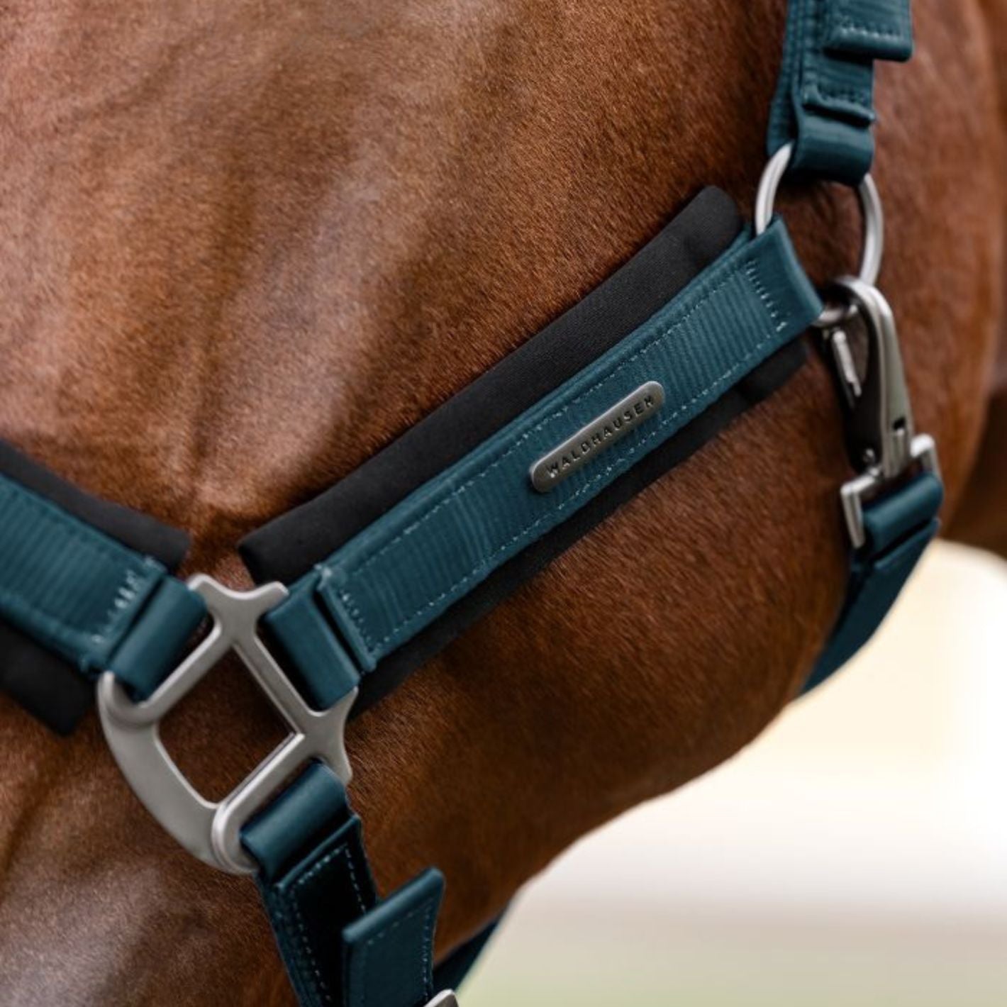 Waldhausen Headcollar & Leadrope Set - Petrol Blue