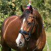 QHP Birthday Hat - Rainbow