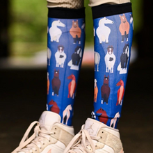 Load image into Gallery viewer, Dreamers &amp; Schemers Boot Socks - Pony Baloney
