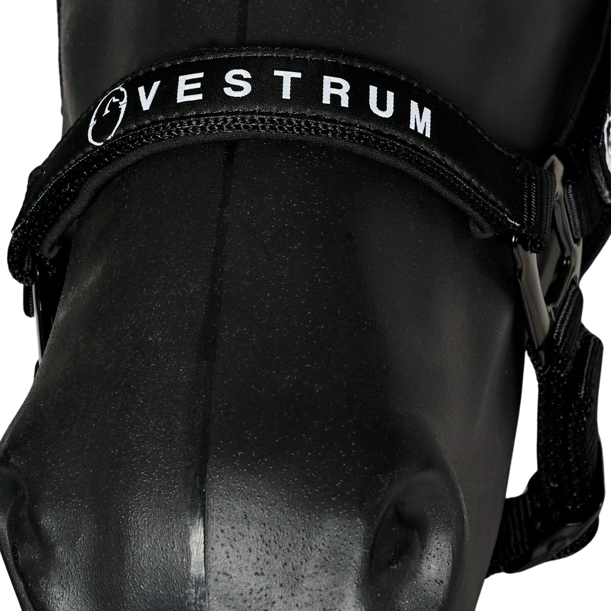 Vestrum Locri Headcollar & Leadrope Set - Black