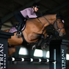 Equestrian Stockholm Jump Pad - Anemone