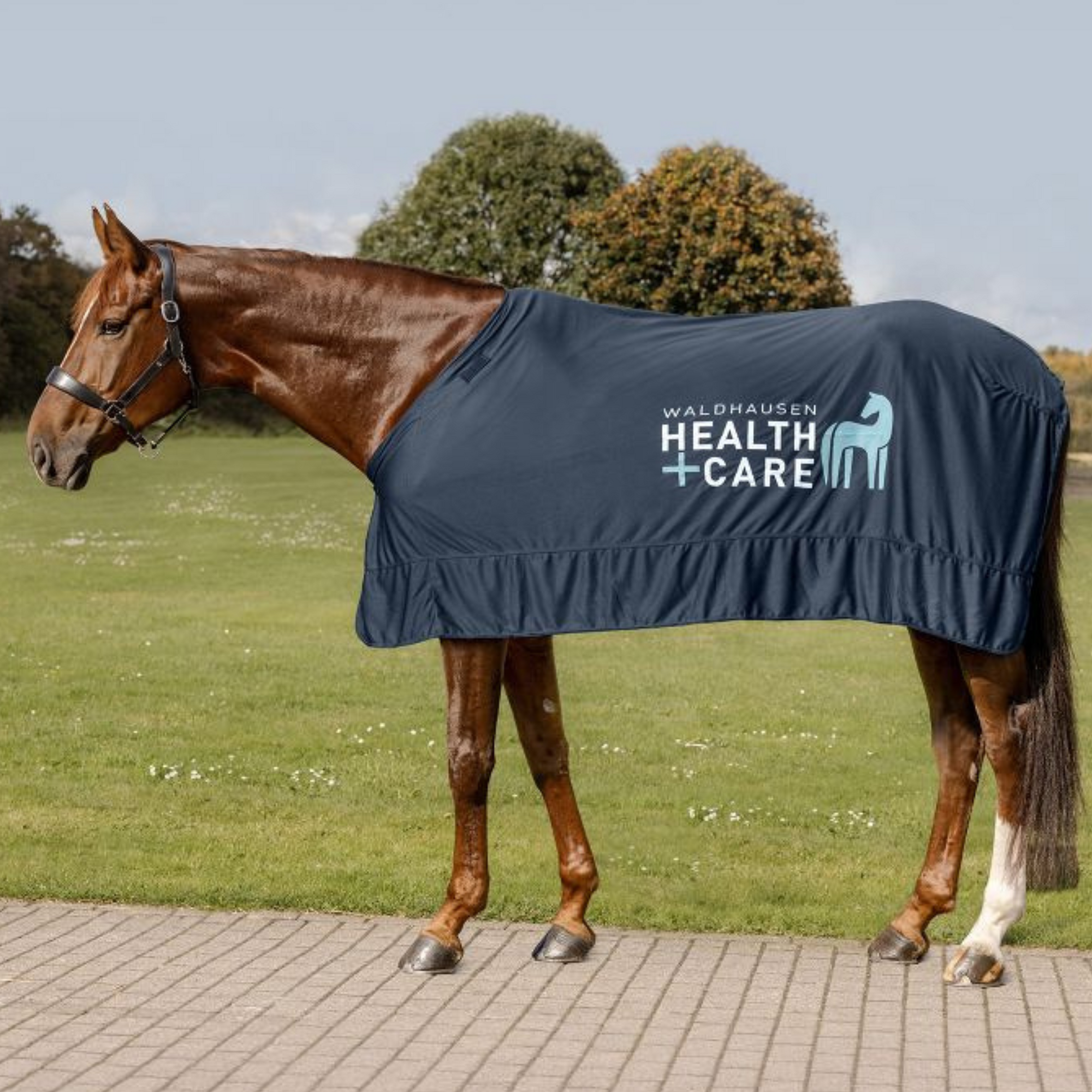 Waldhausen Ice Layer Cooling Blanket