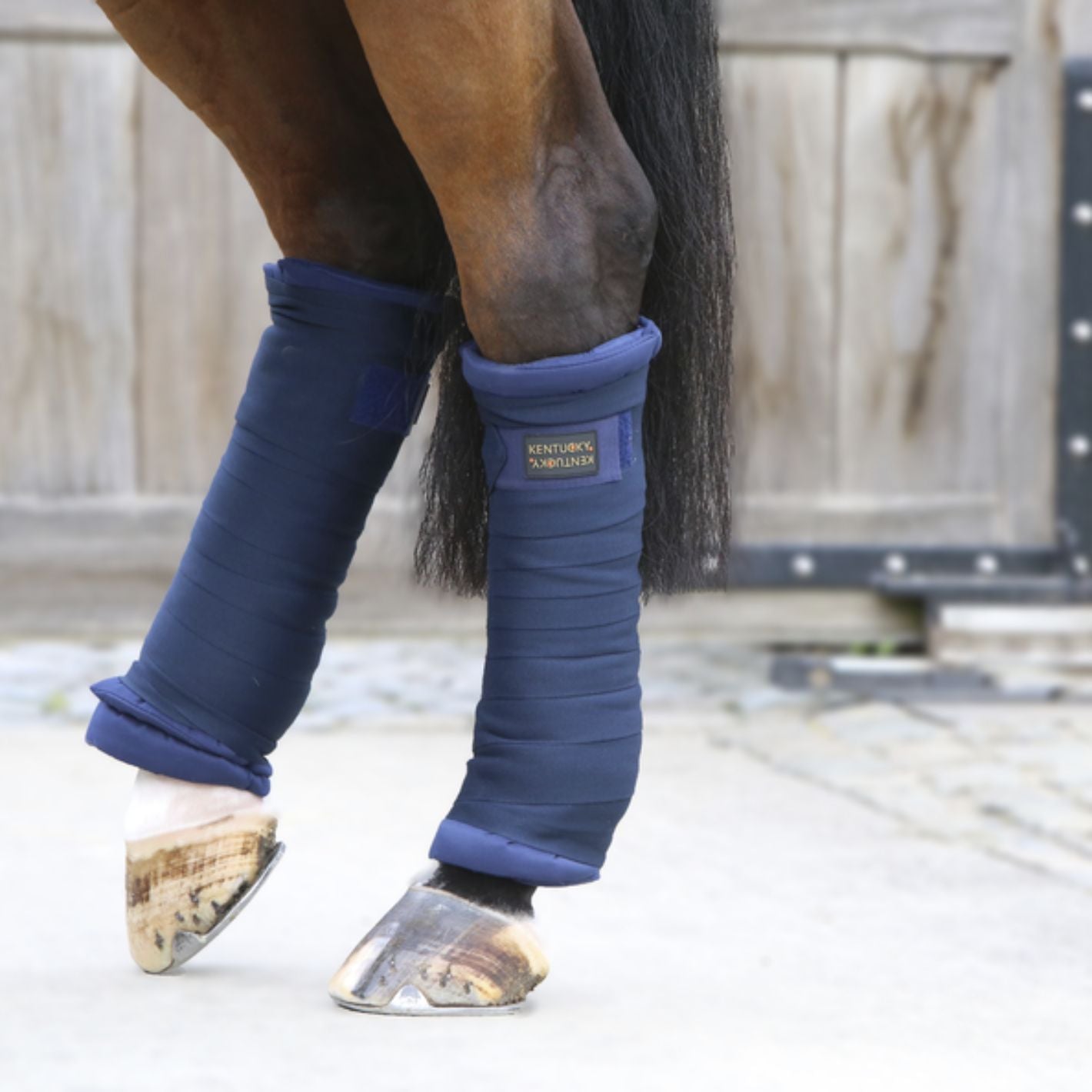 Kentucky Stable Bandage Pads - Black