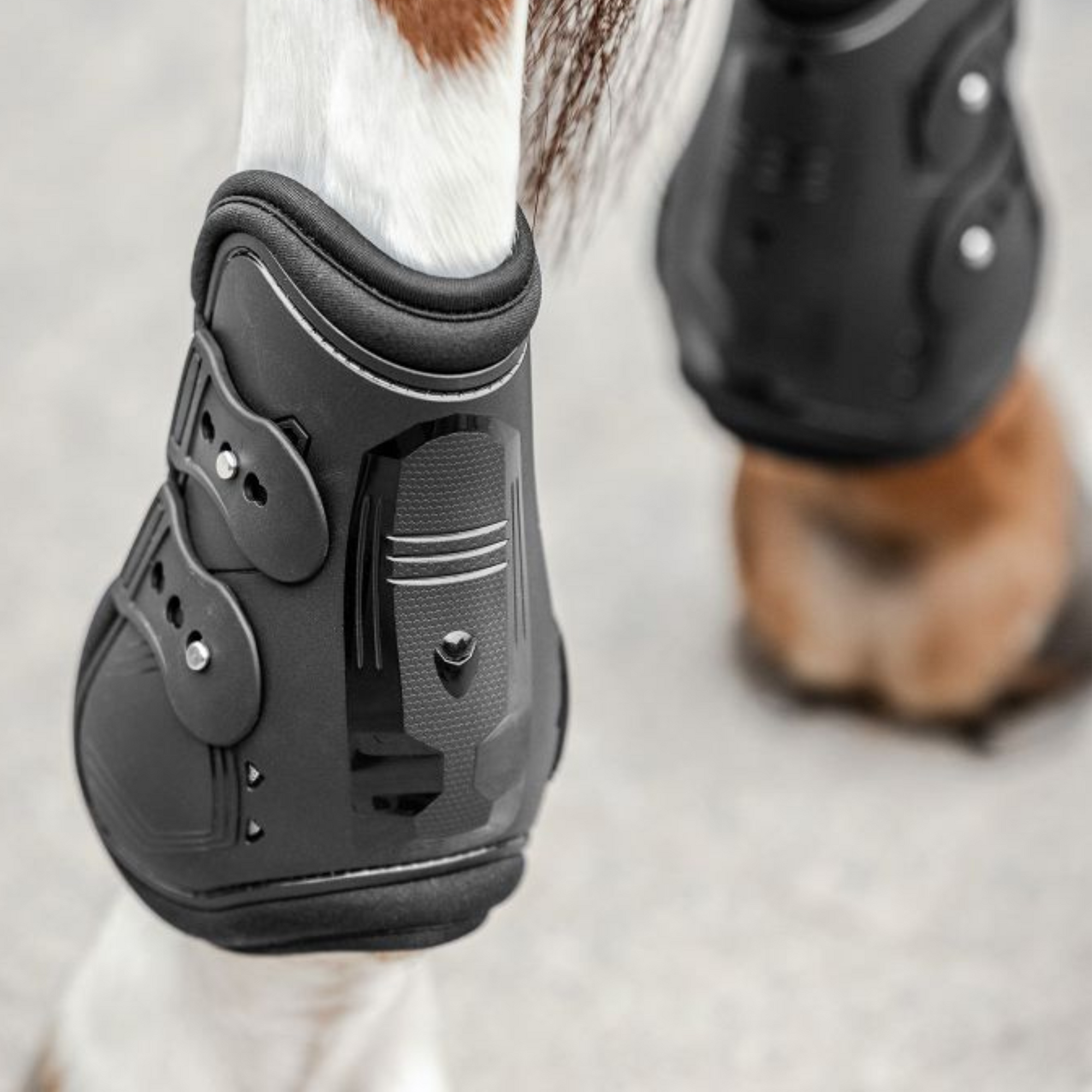 Waldhausen Memory Foam Pro Fetlock Boots