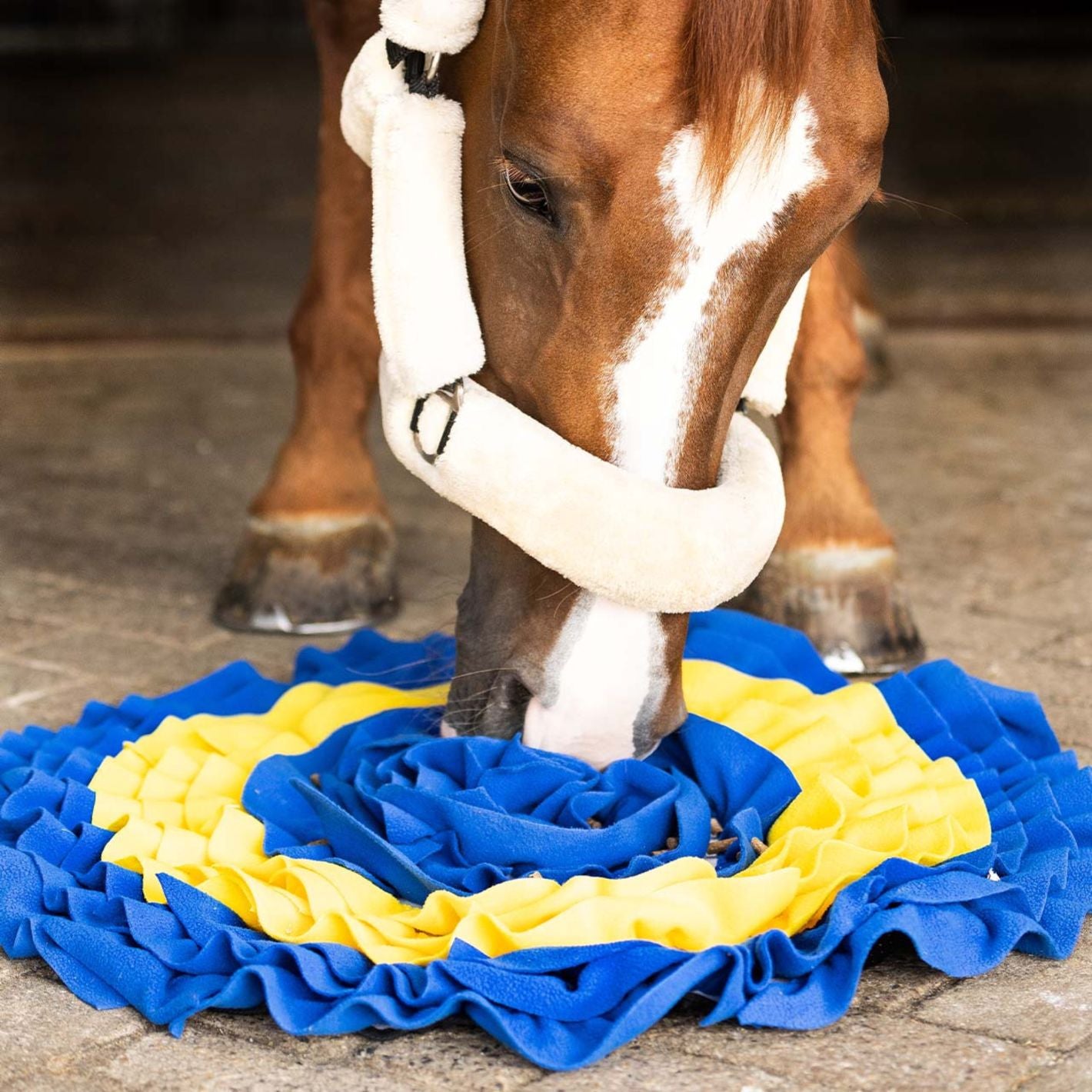 QHP Horse Snuffle Mat