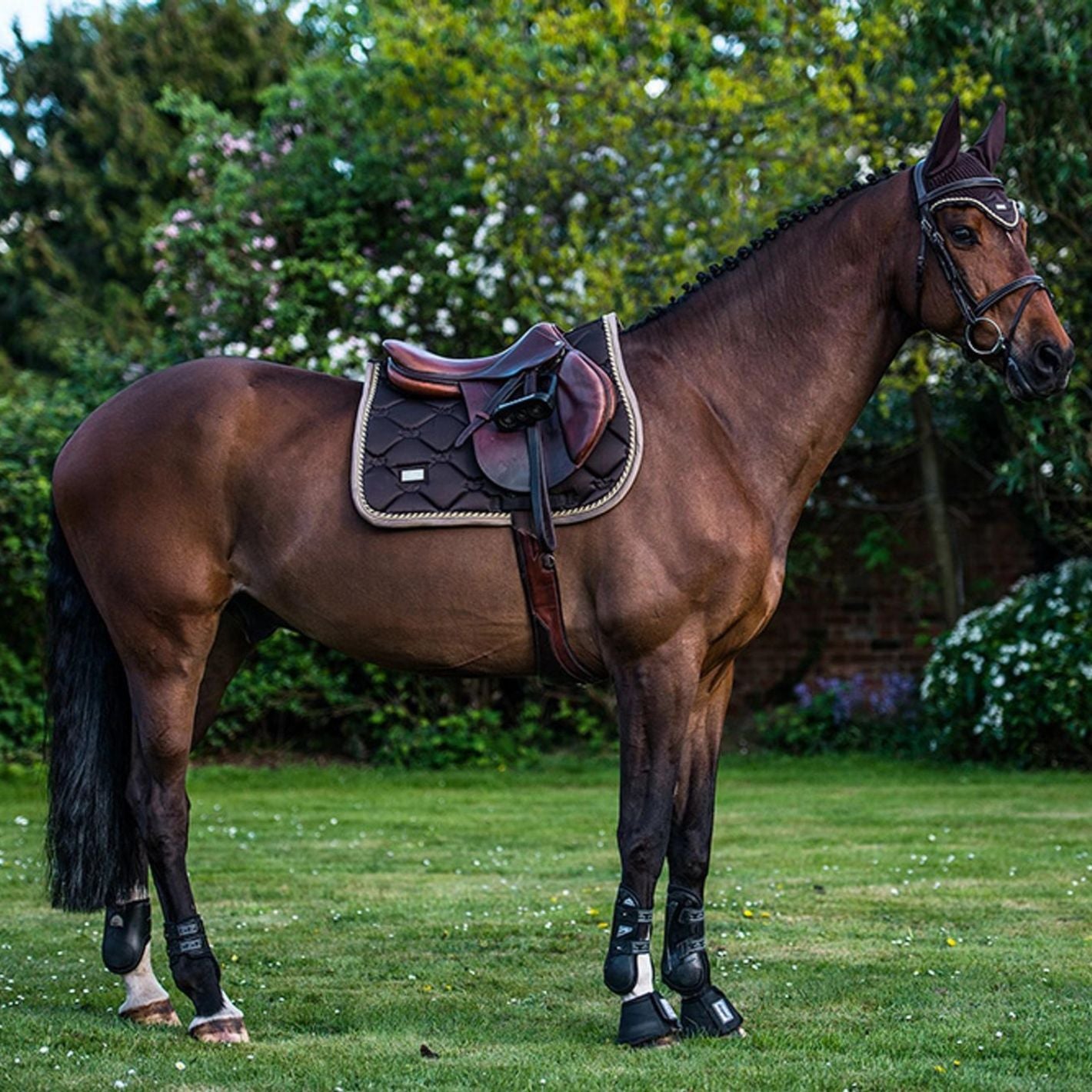 Equestrian Stockholm Jump Pad - Golden Brown