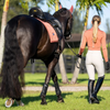 Equestrian Stockholm Dressage Pad - Modern Coral