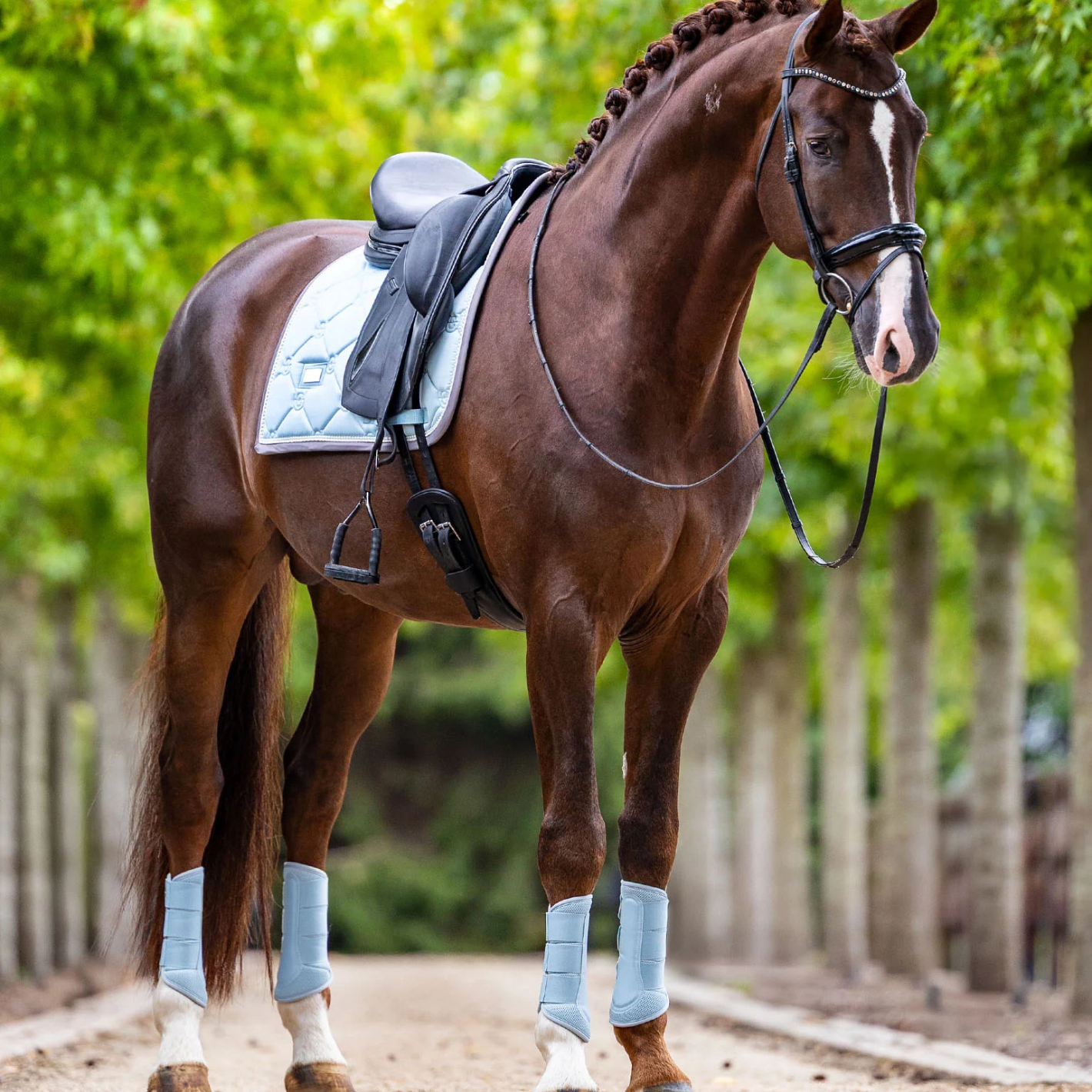 Equestrian Stockholm Mesh Brushing Boots - Ice Blue