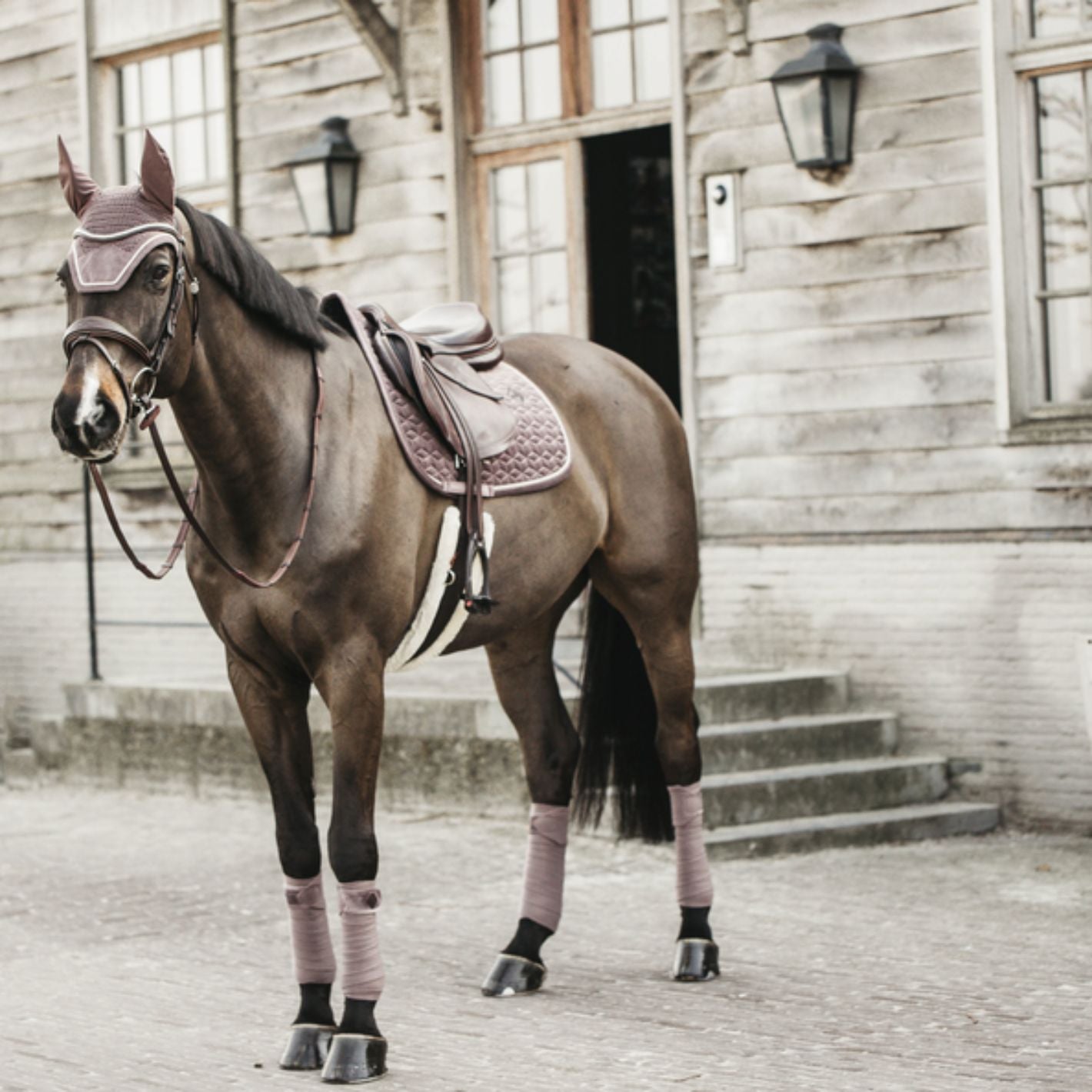 Kentucky Velvet Dressage Pad - Light Purple