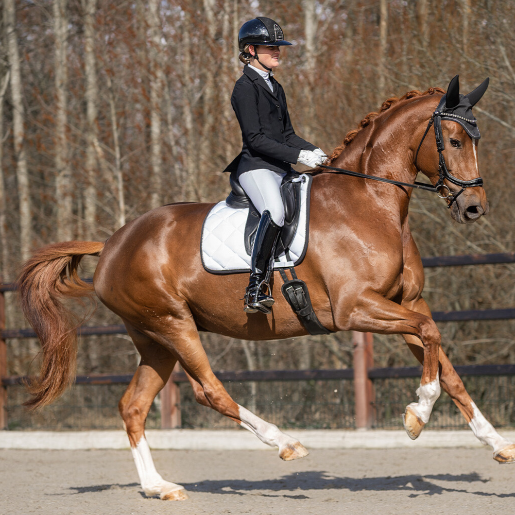 PresTeq Dressage Saddle Pad - White/Black