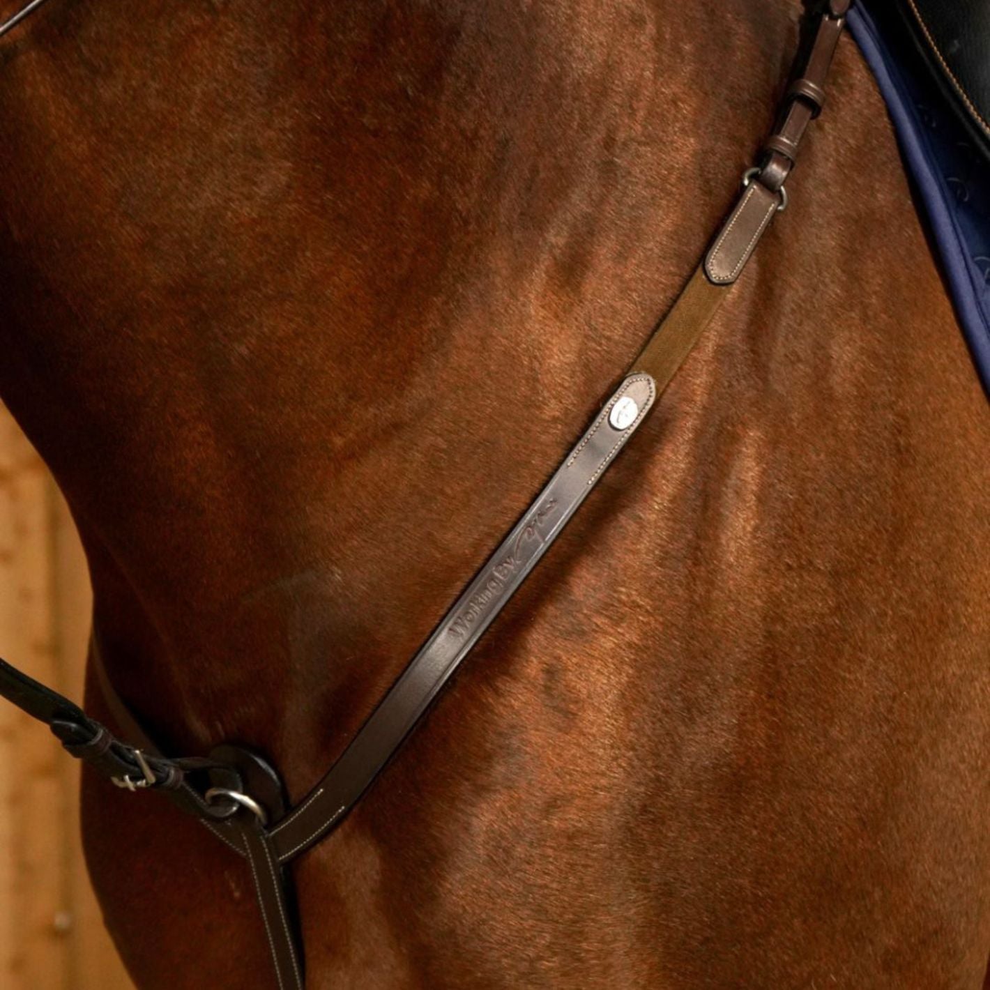 Dy'on Breastplate