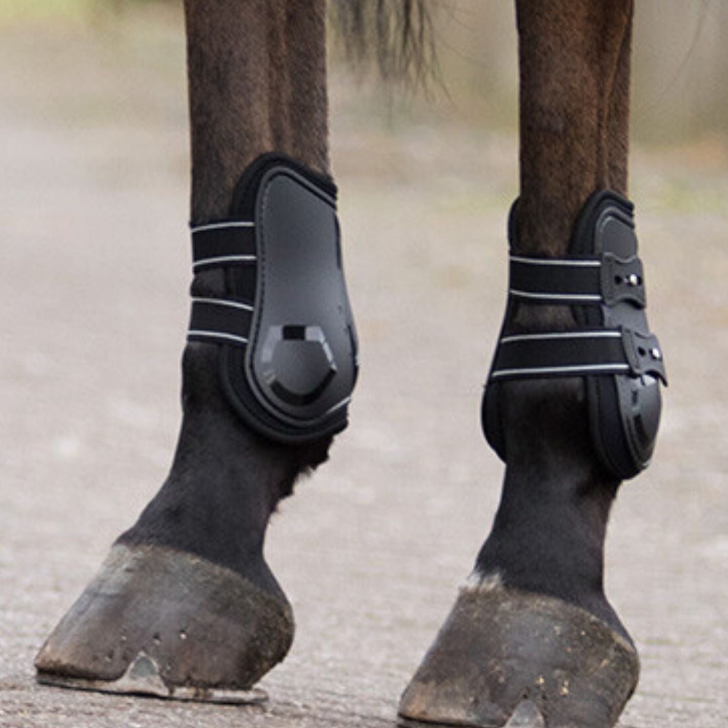QHP Champion Fetlock Boots