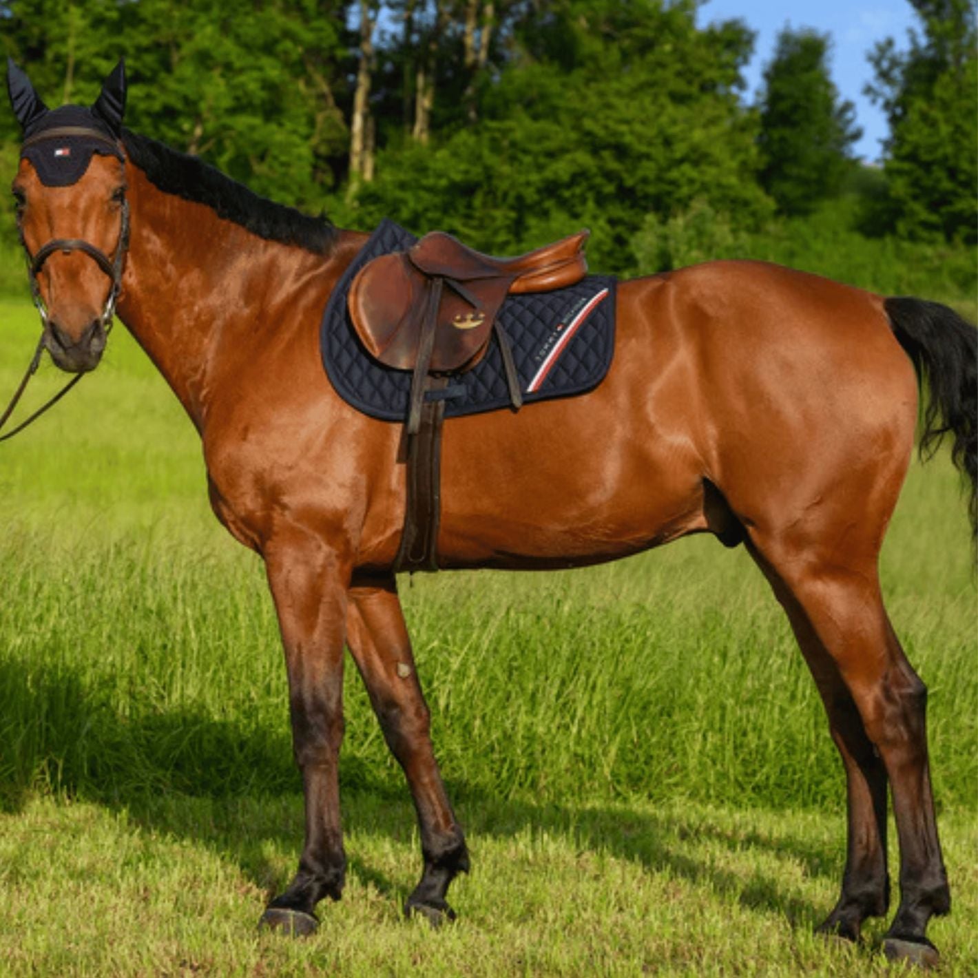 Tommy Hilfiger Stanford Jump Pad - Navy