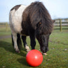 Likit Snak-A-Ball - Aqua