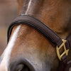 Waldhausen Headcollar & Leadrope Set - Espresso