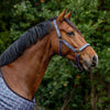 QHP Headcollar & Leadrope Set - Bouncing Bows