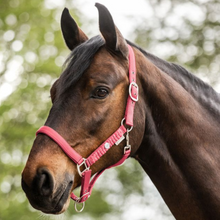 Load image into Gallery viewer, Waldhausen Florence Headcollar &amp; Leadrope Set - Hibiscus
