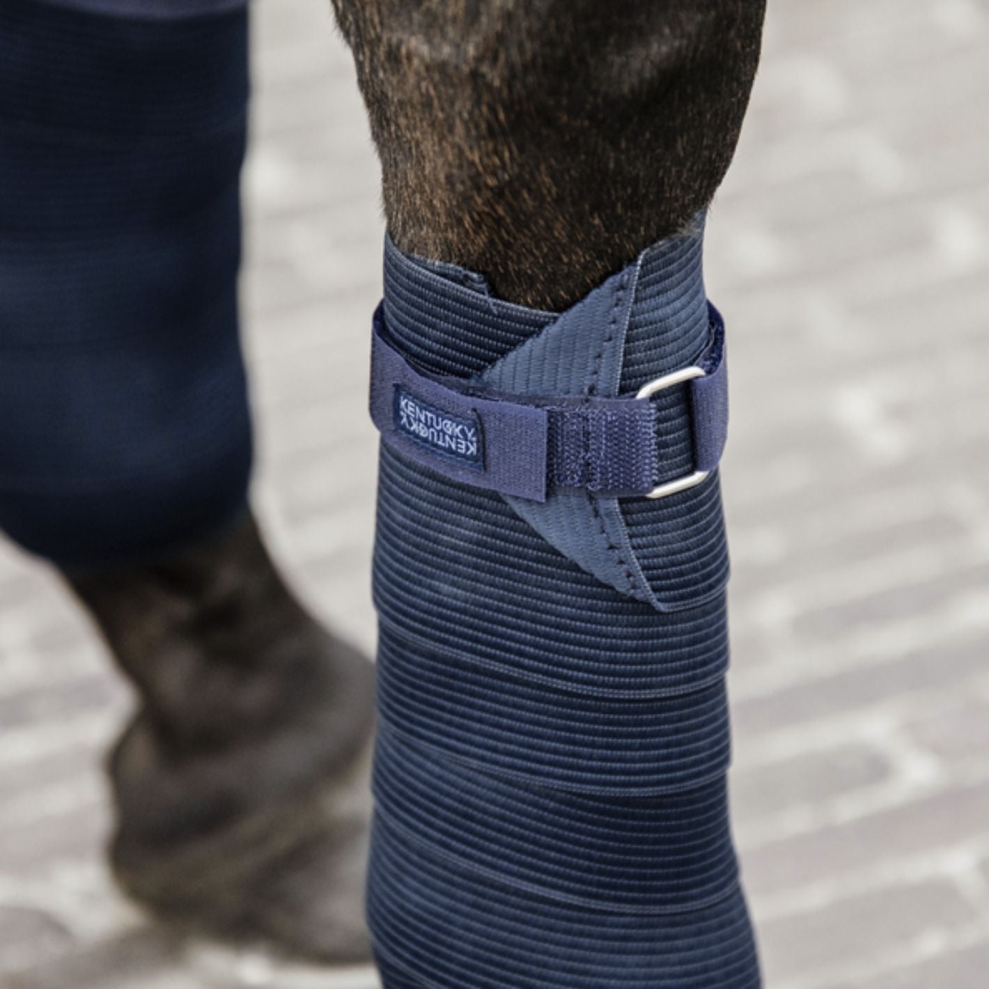 Kentucky Elastic Bandages - Navy
