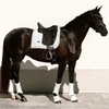 Equestrian Stockholm Dressage Pad - Timeless White Glimmer