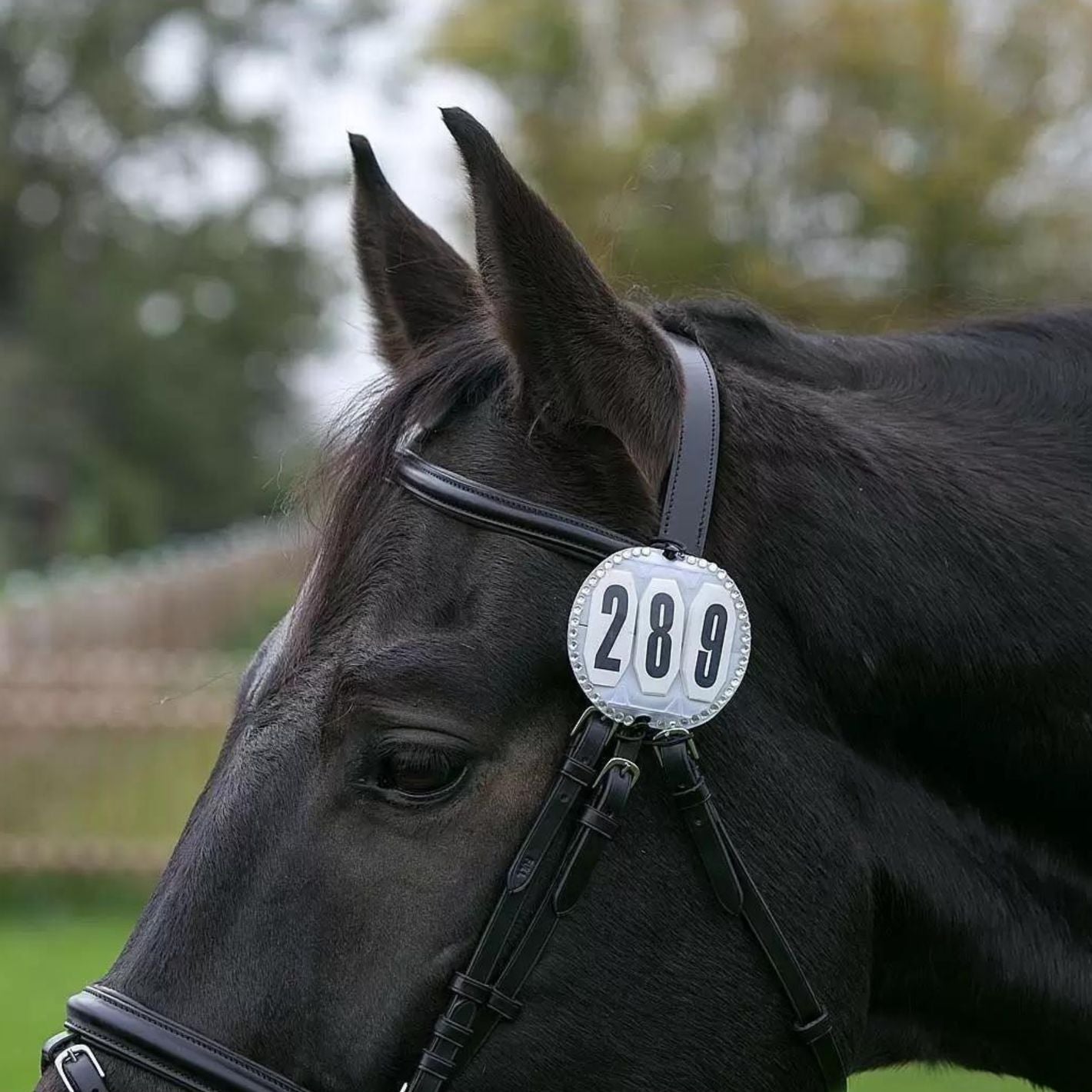 Waldhausen Number Holder - Round Diamante