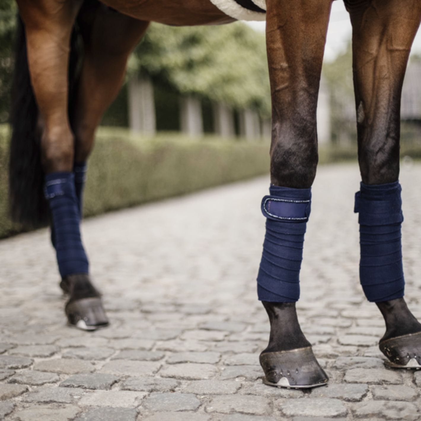 Kentucky Pearl Polar Fleece Bandages - Navy
