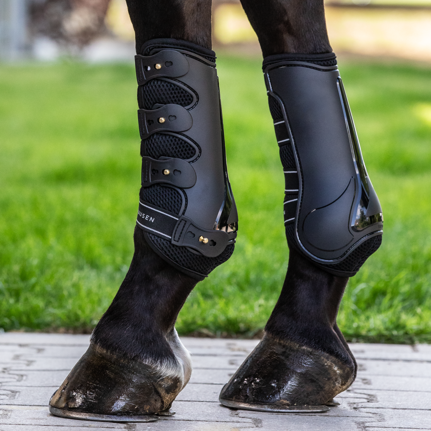 Waldhausen Mesh Tendon Boots - Black