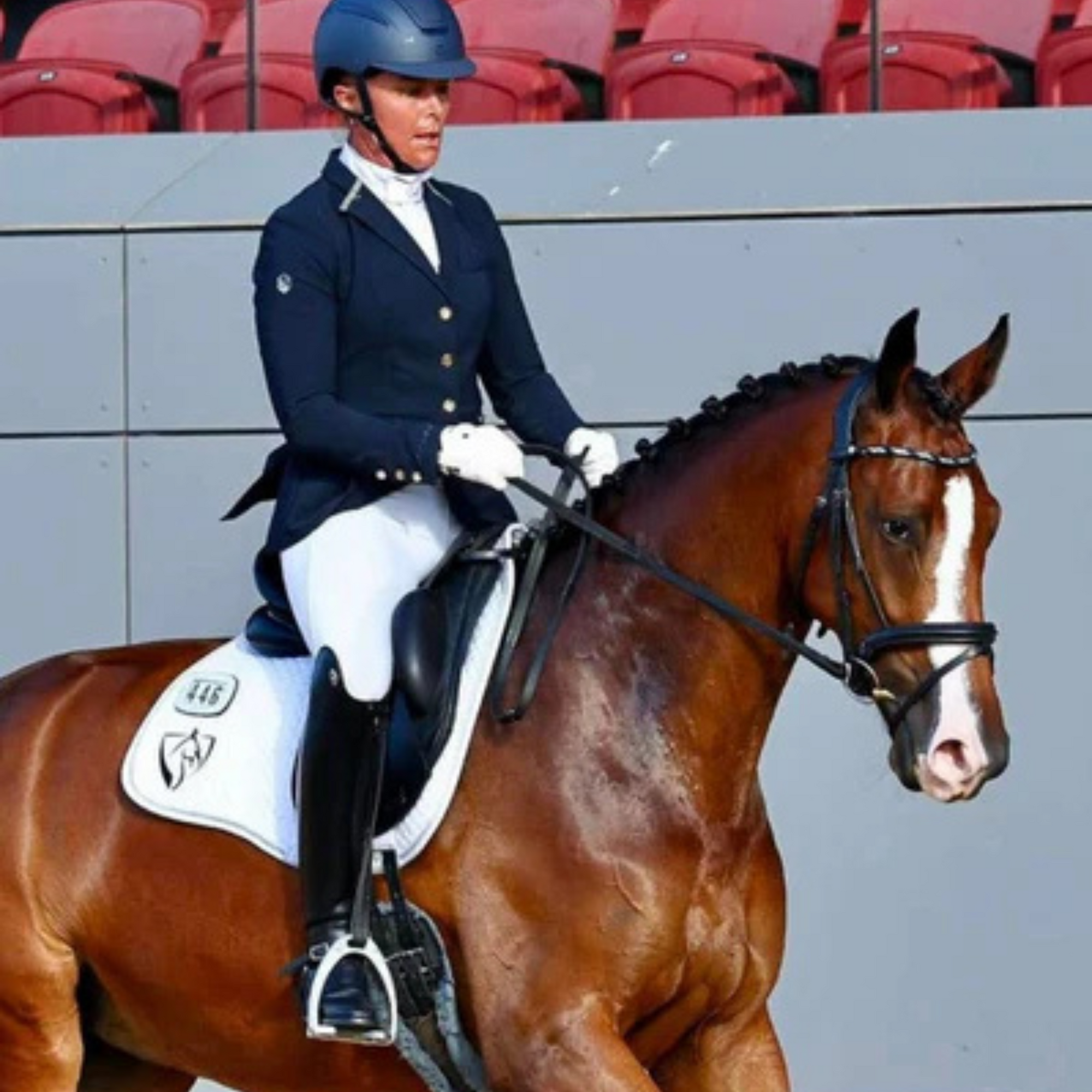Bare Equestrian White Leggings