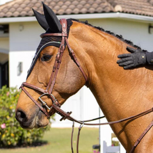 Load image into Gallery viewer, CWD Raised French Noseband Bridle - Brown
