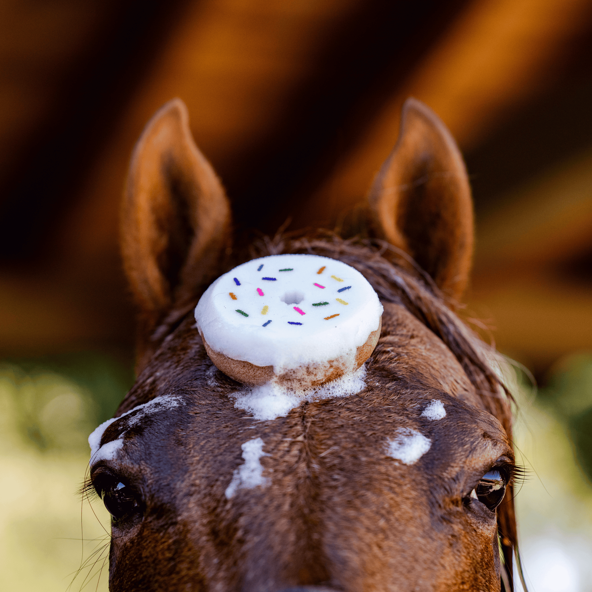 Dreamers & Schemers Donut Tack Sponges - 6 Pack