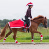 Santa Helmet Cover