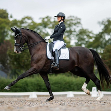 Load image into Gallery viewer, Equestrian Stockholm Dressage Pad - Modern White Black Edition
