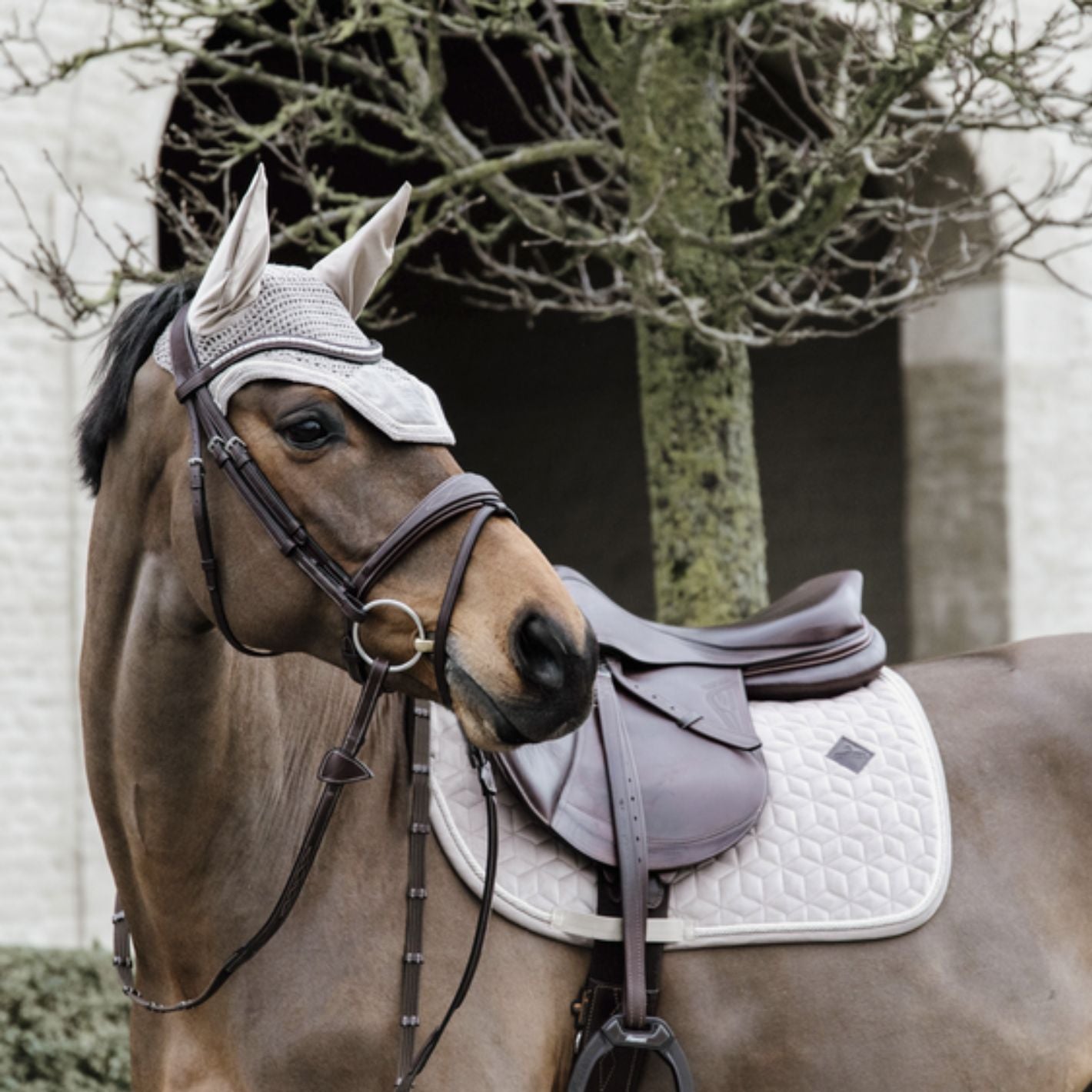 Kentucky Velvet Jump Pad - Beige