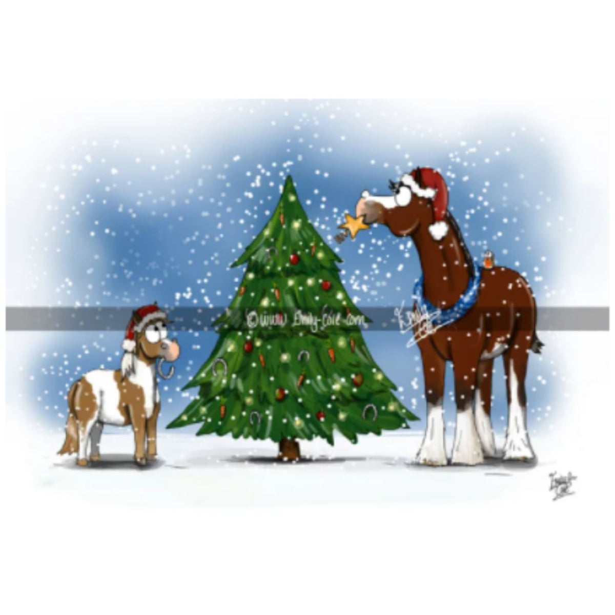 Emily Cole Christmas Greeting Cards -  Pack of 10 cards