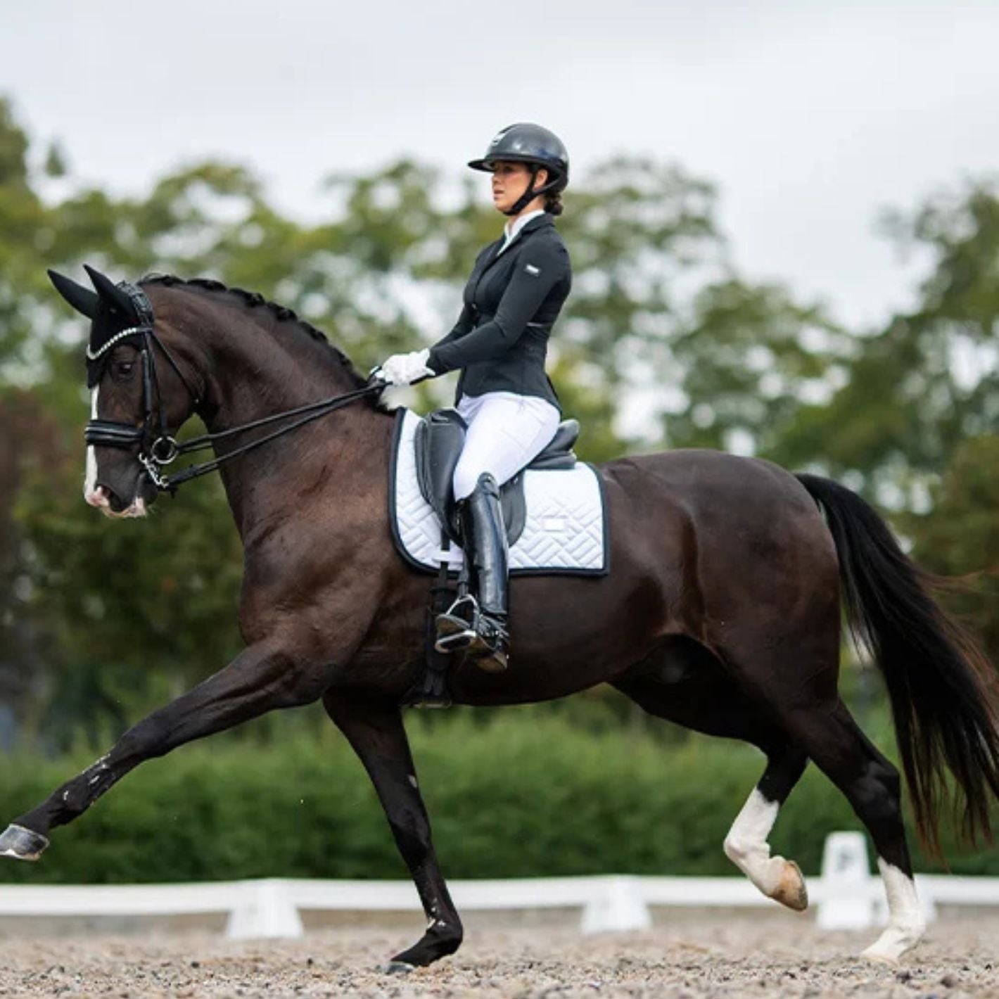 Equestrian Stockholm Dressage Pad - Modern White Black Edition