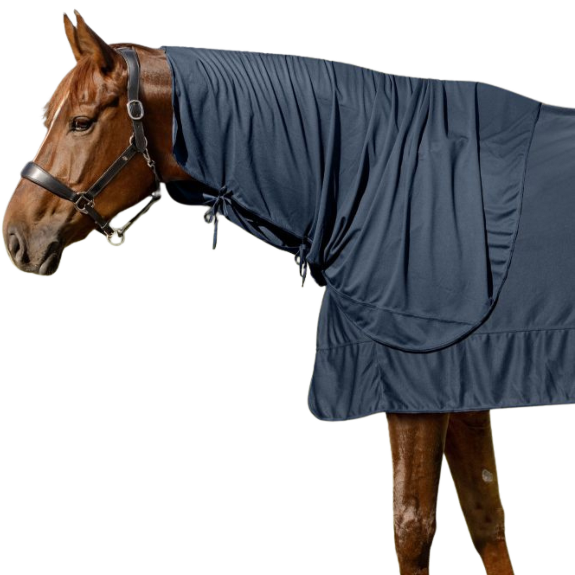 Waldhausen Ice Layer Cooling Neck Piece