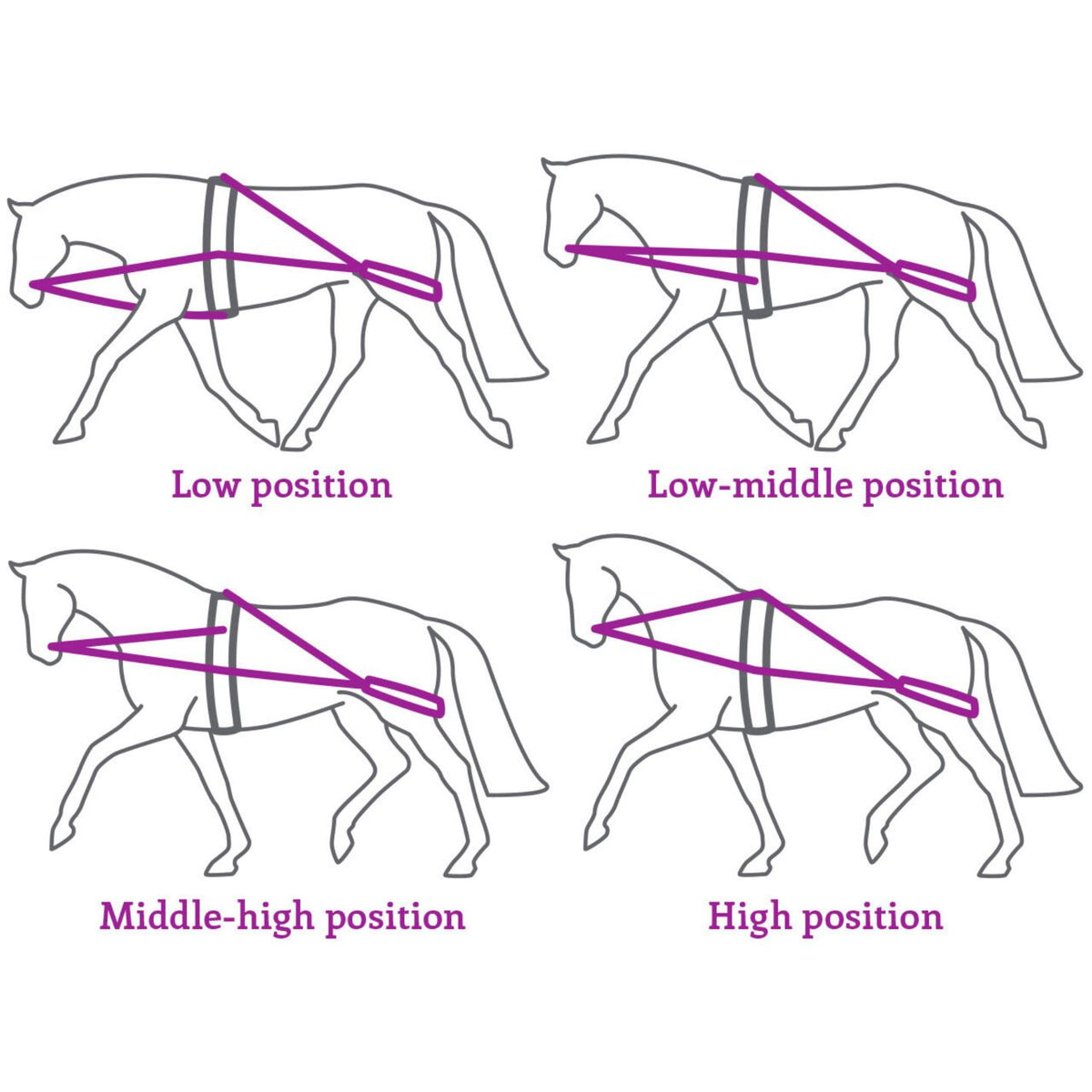 QHP Pessoa Lunge Training System