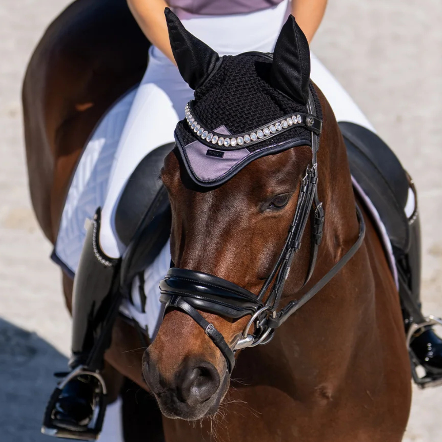Equestrian Stockholm Ear Bonnet - Modern Dark Violet