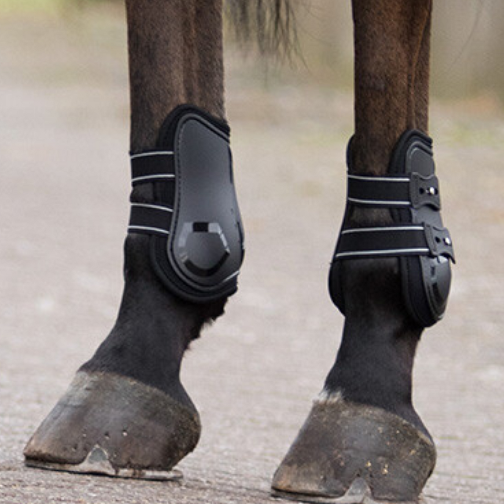 QHP Champion Fetlock Boots