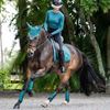 Equestrian Stockholm Dressage Pad - Teal Blue