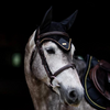 Equestrian Stockholm Ear Bonnet - Black Gold