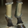 Equestrian Stockholm Brushing Boots - Striking Valley