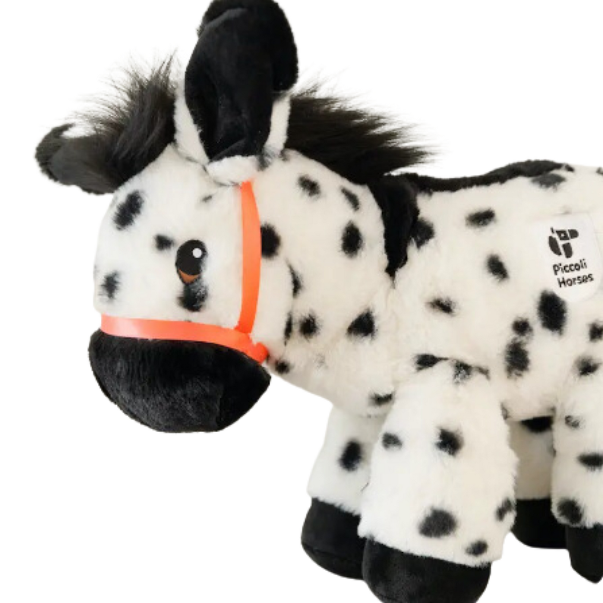 Piccoli Donkey - Chrissy